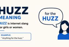 Huzz meaning infographic explaining the slang term for girls or women, with the example phrase “Anything for the huzz.”