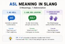 ASL Meaning in Slang