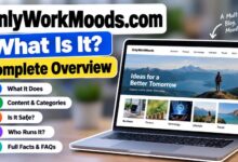 OnlyWorkMoods.com website overview