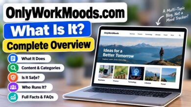 OnlyWorkMoods.com website overview