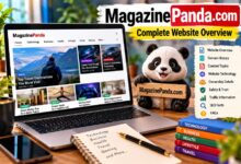 MagazinePanda.com website overview